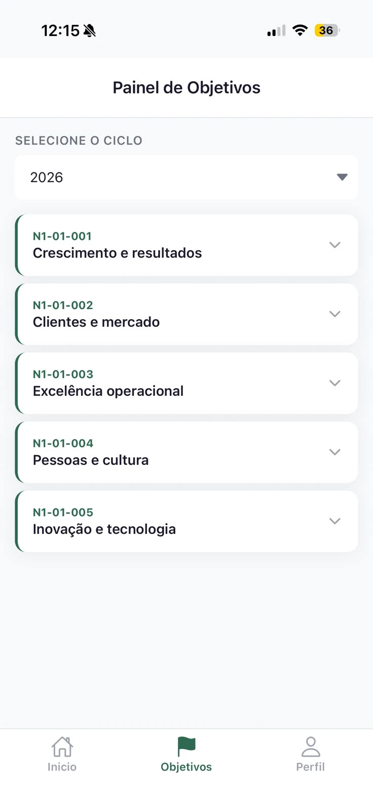 Painel de objetivos organizado por ciclo e pilares estratégicos.